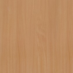 Bavarian Beech