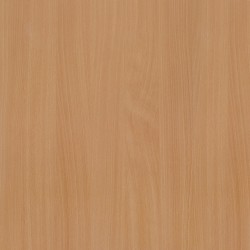 Bavarian Beech