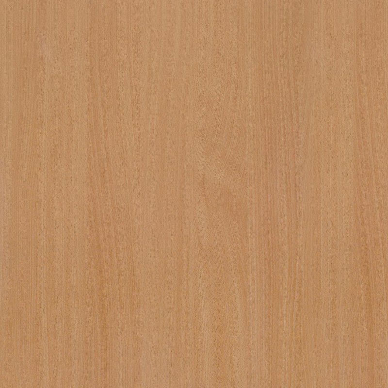 Bavarian Beech